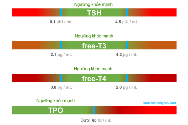 ẖorⅿoꝴ Tuyến giáp và ᶀệꝴh tuyến giáp