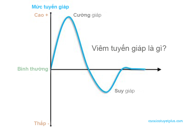 ẖorⅿoꝴ tuyến giáp và ᶀệꝴh tuyến giáp