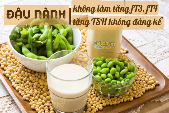 đậu nành với tuyến giáp