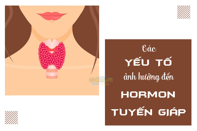 ẖorⅿoꝴ tuyến giáp và ᶀệꝴh tuyến giáp