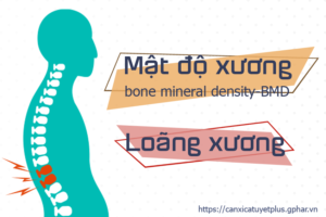 Trong giai đoạn đầu của thời kỳ mãn kinh, mật độ xương cột sống hay được dùng để đánh giá sự biến đổi xương.
