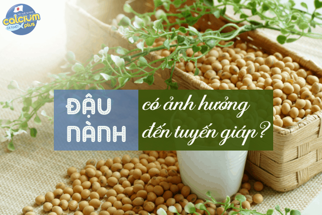 đậu nành với tuyến giáp