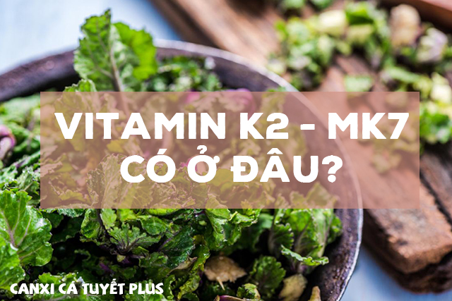 Vitamin K2 - MK7, vitamin mk7
